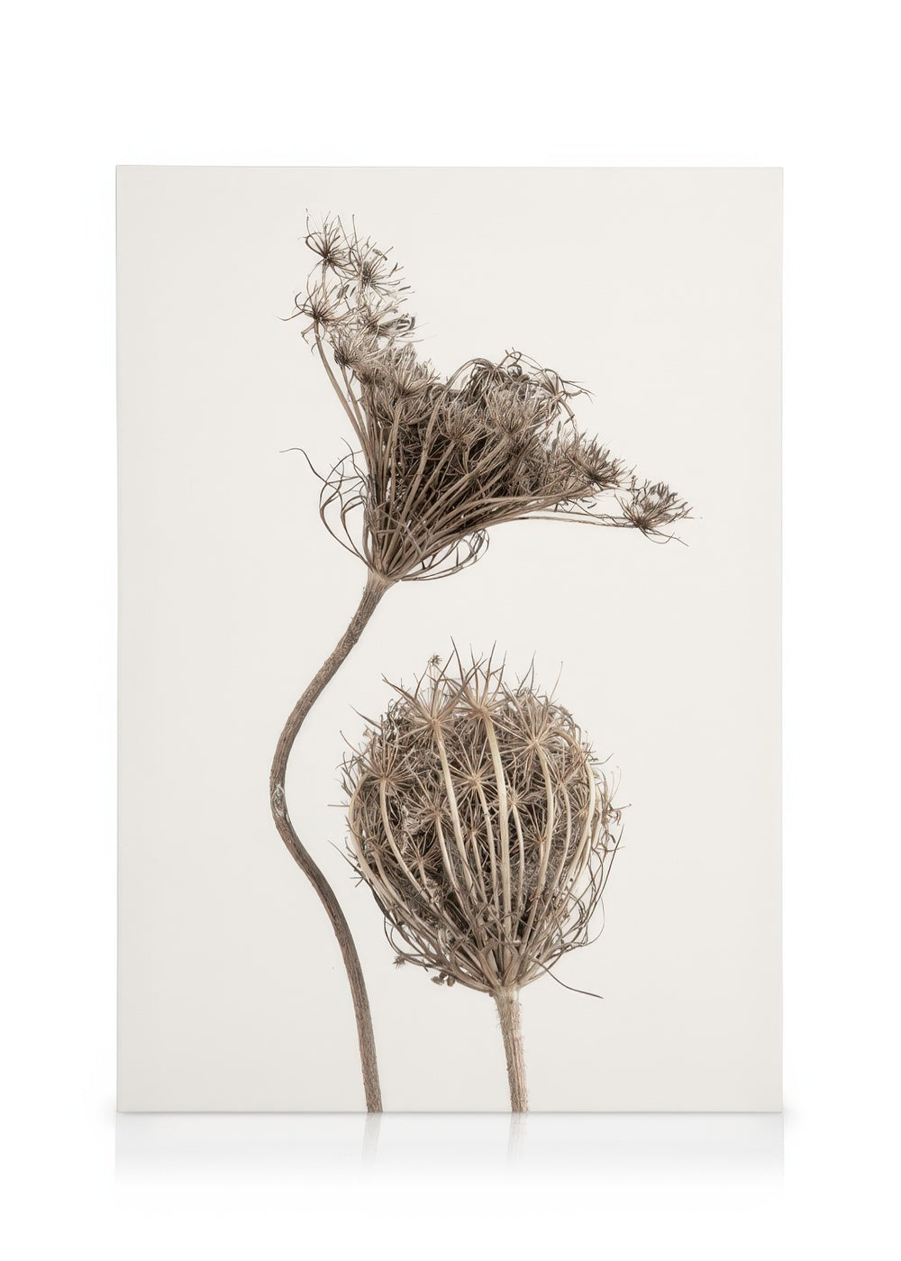 Boho Flowers Canvas print