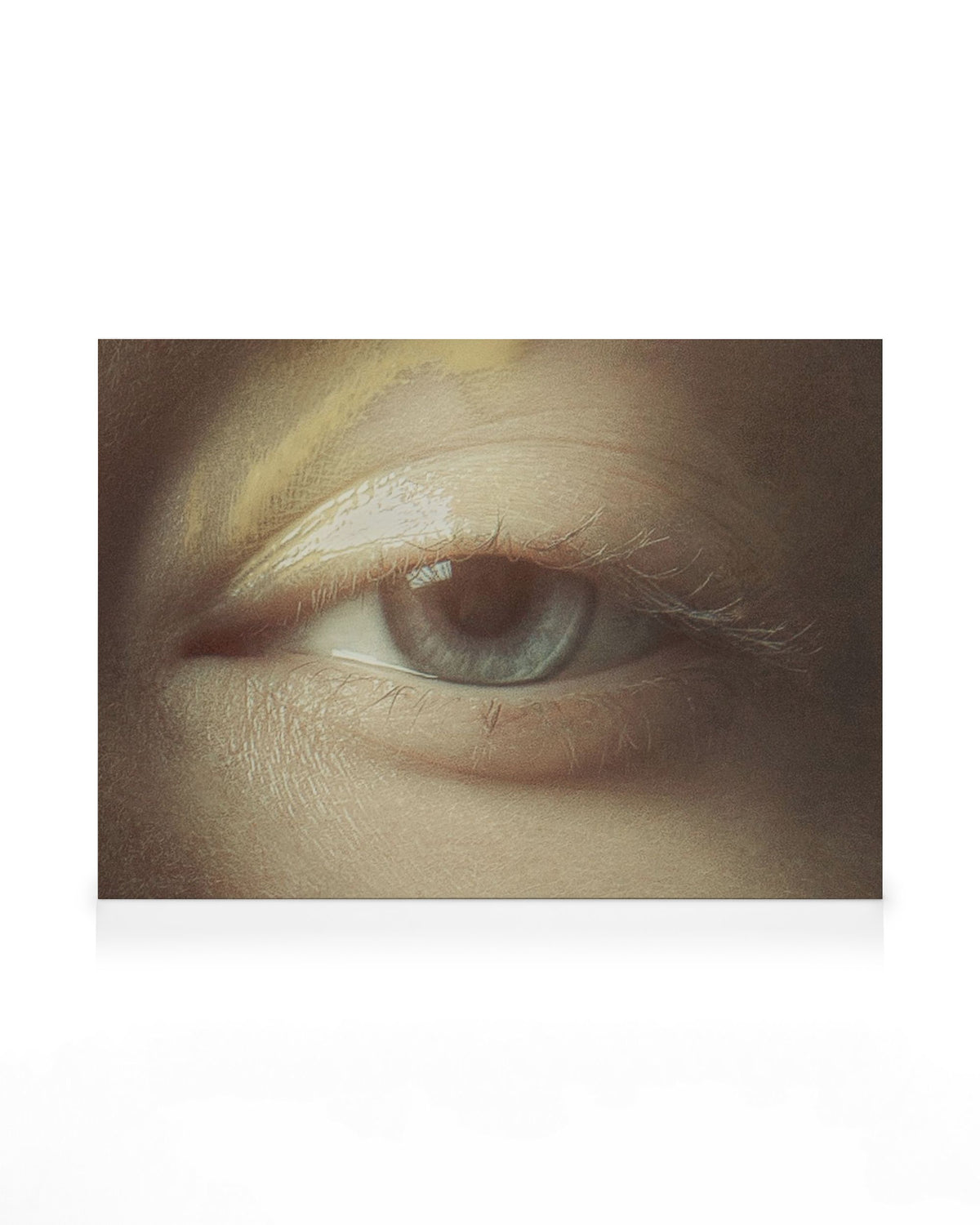 The Observer Canvas print