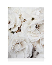 White Roses Canvas print