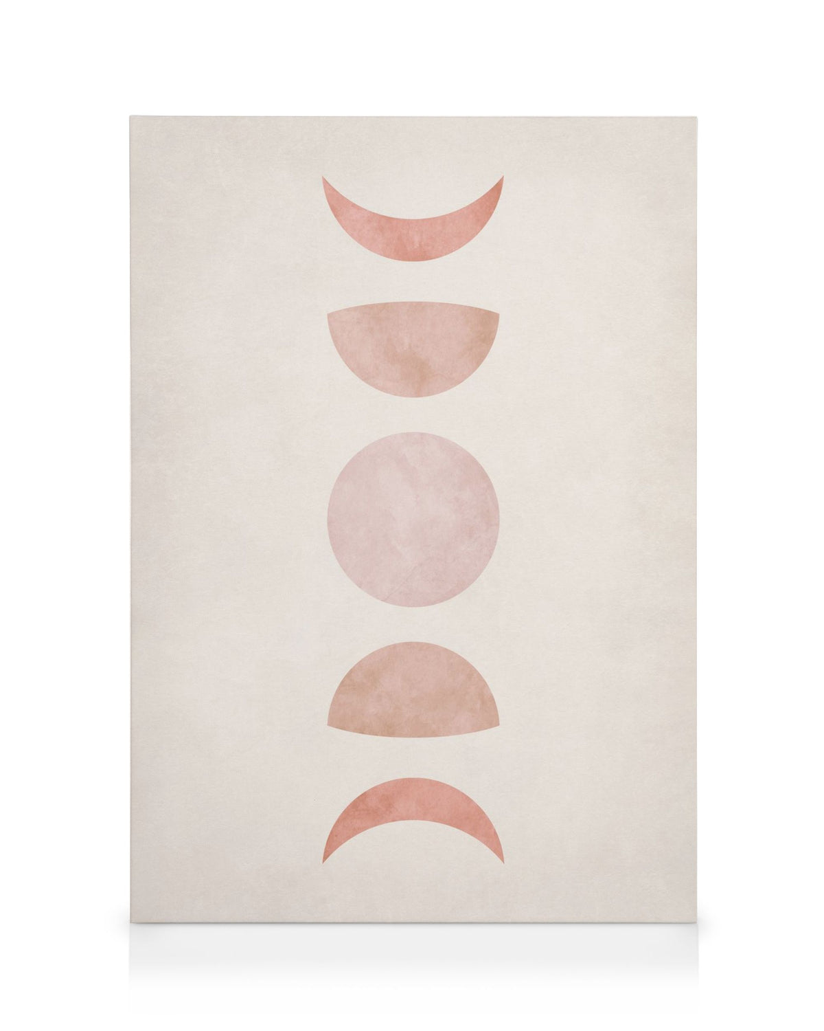 Pink Moon Phase Canvas print