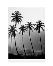 Palm Trees Canvas print