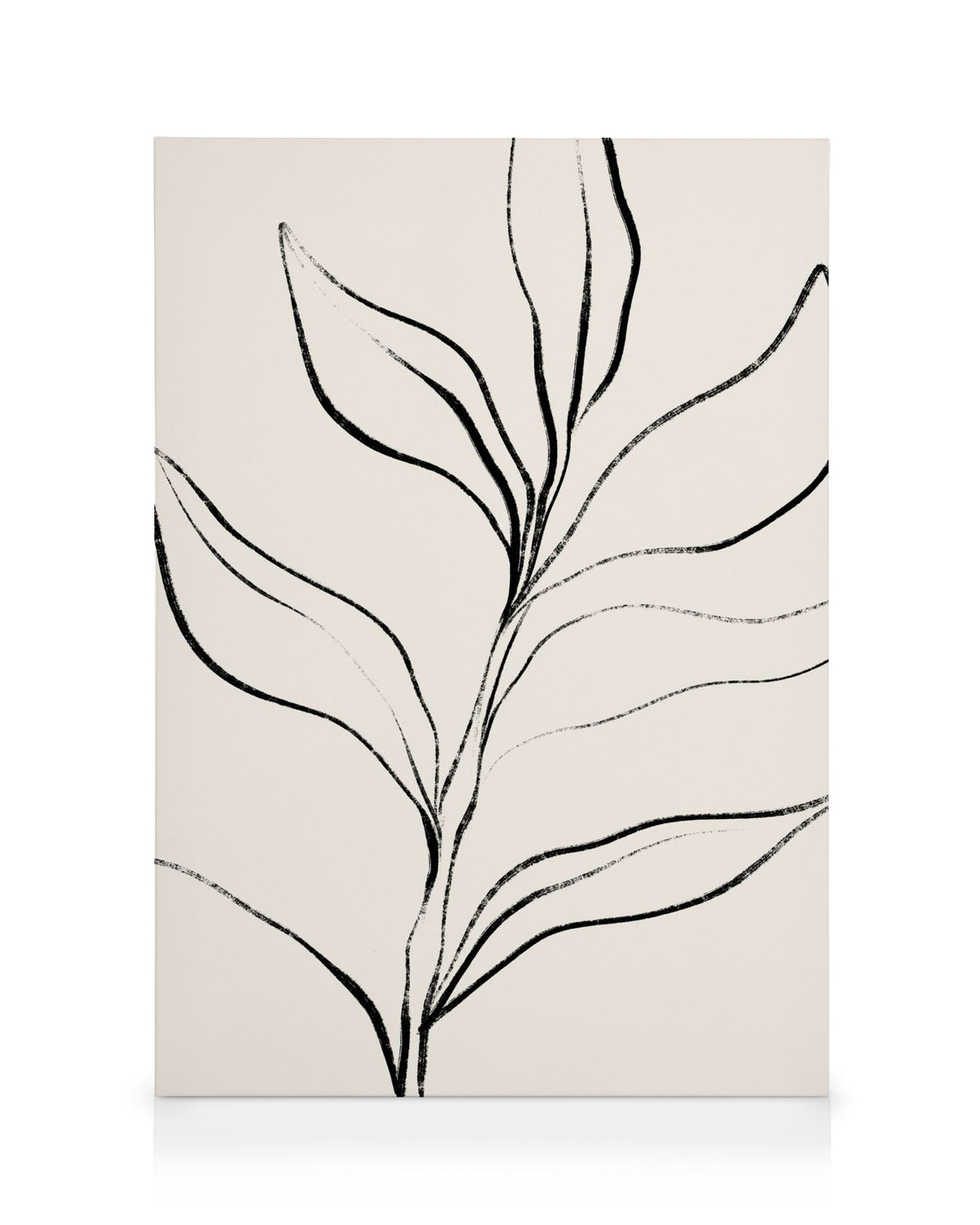 Botanical Lines Canvas print