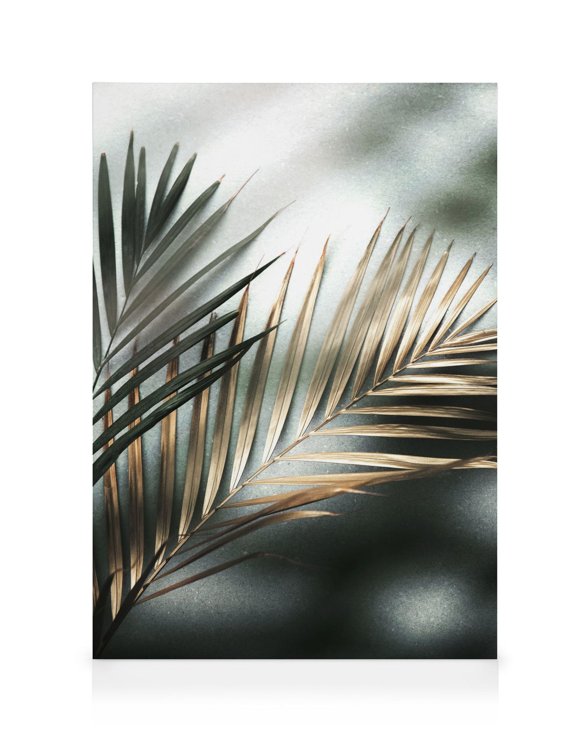 Golden Palm Canvas print