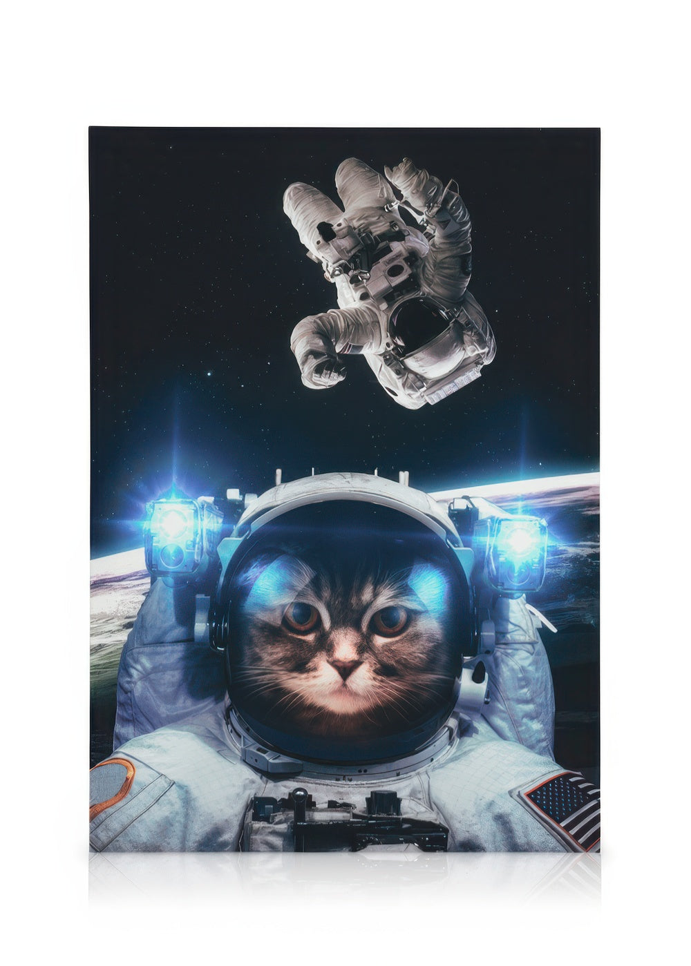 Cat in Space Canvas print