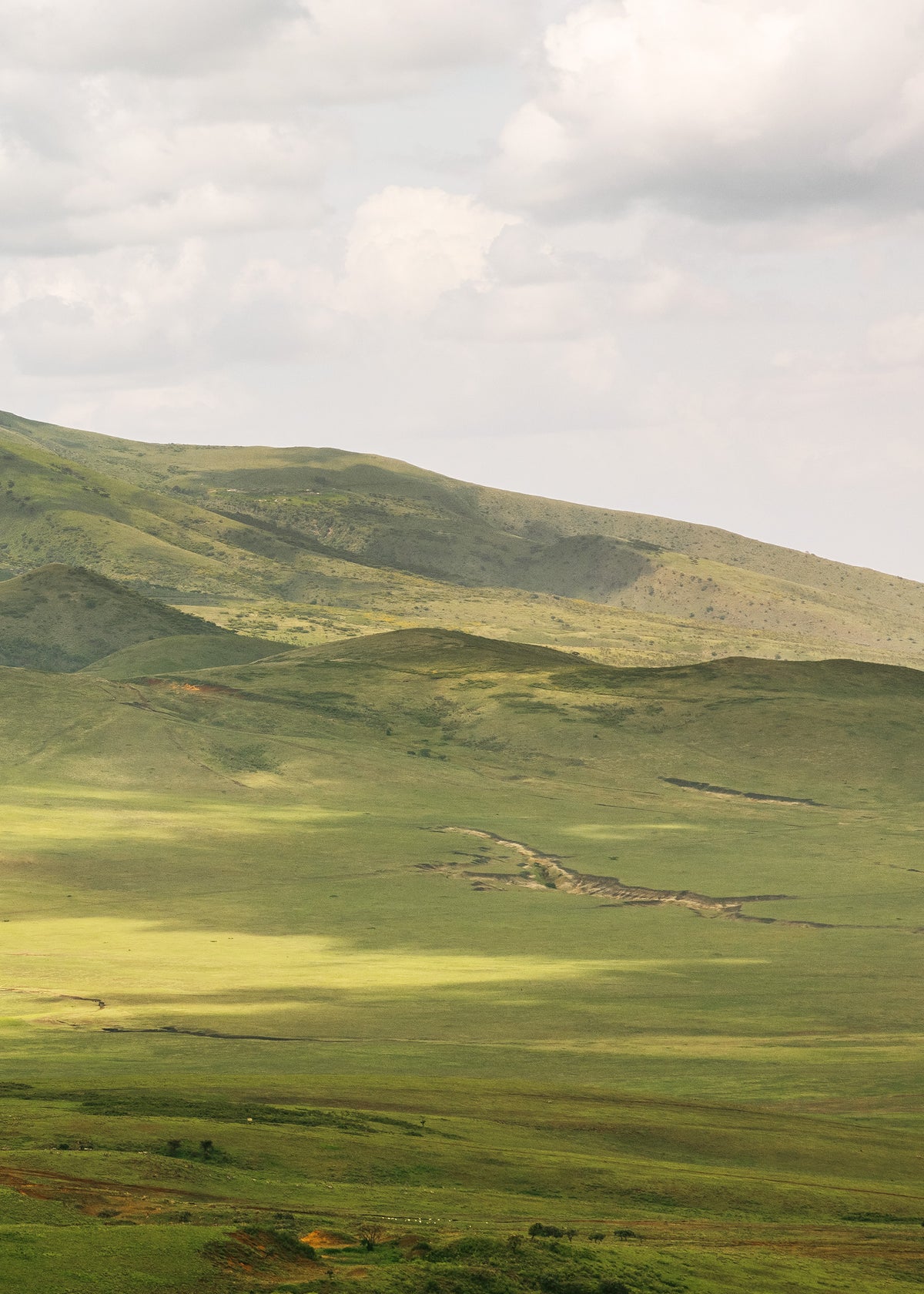 Highlands No3 Print