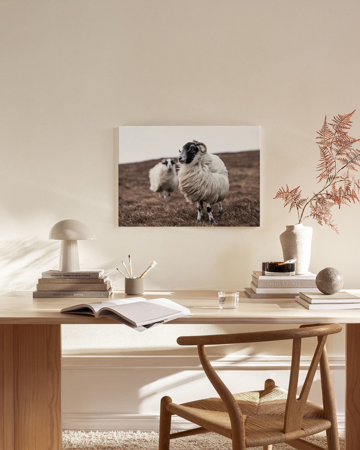 Sheep Canvas print