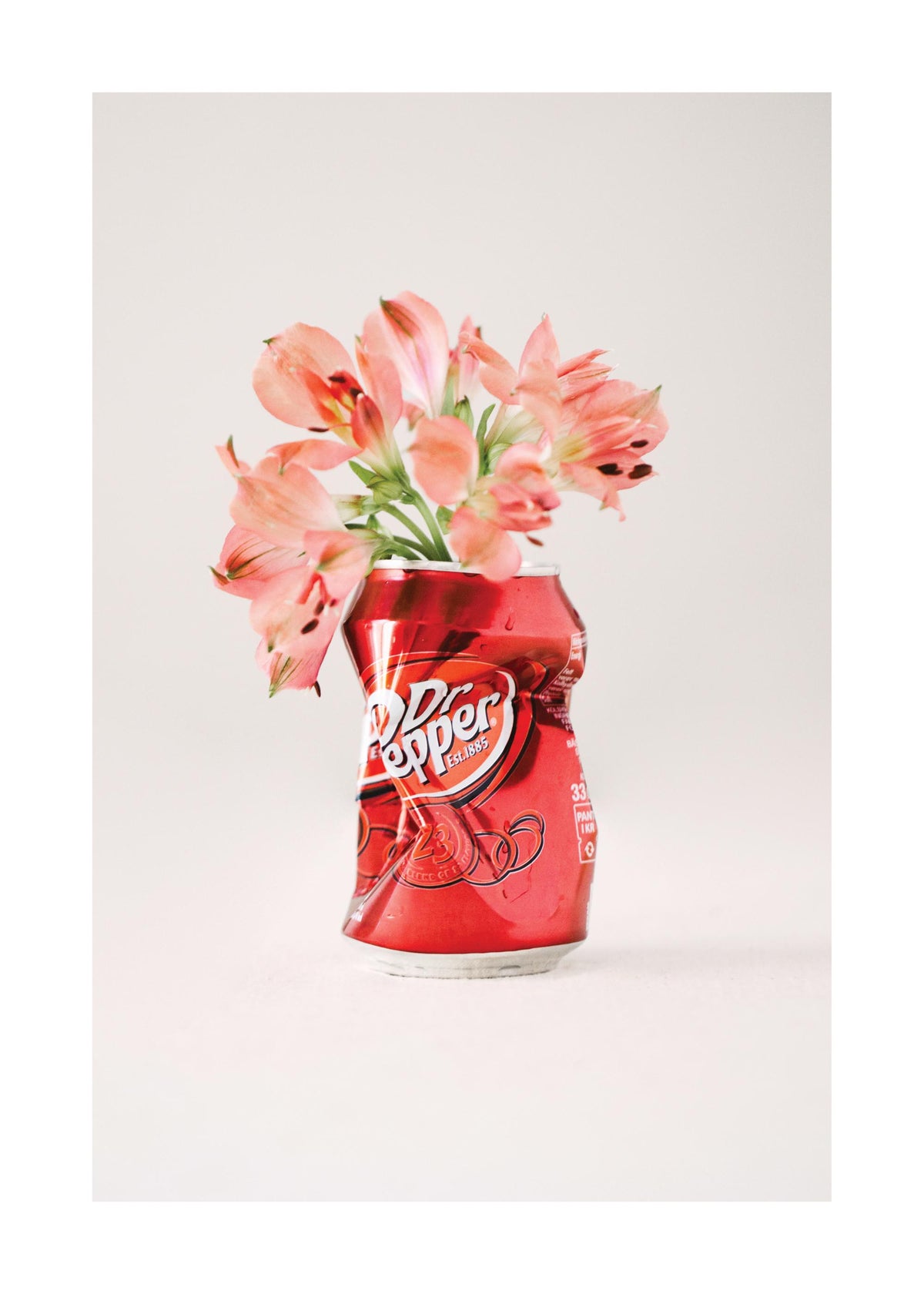 Soda Flowers Print