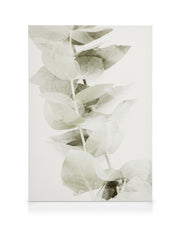 Abstract Eucalyptus No2 Canvas print