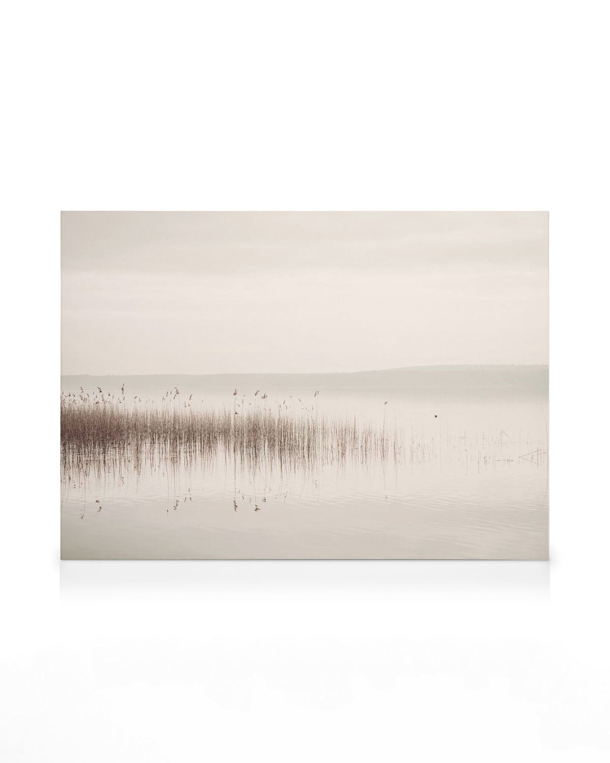 Calm View Canvas print