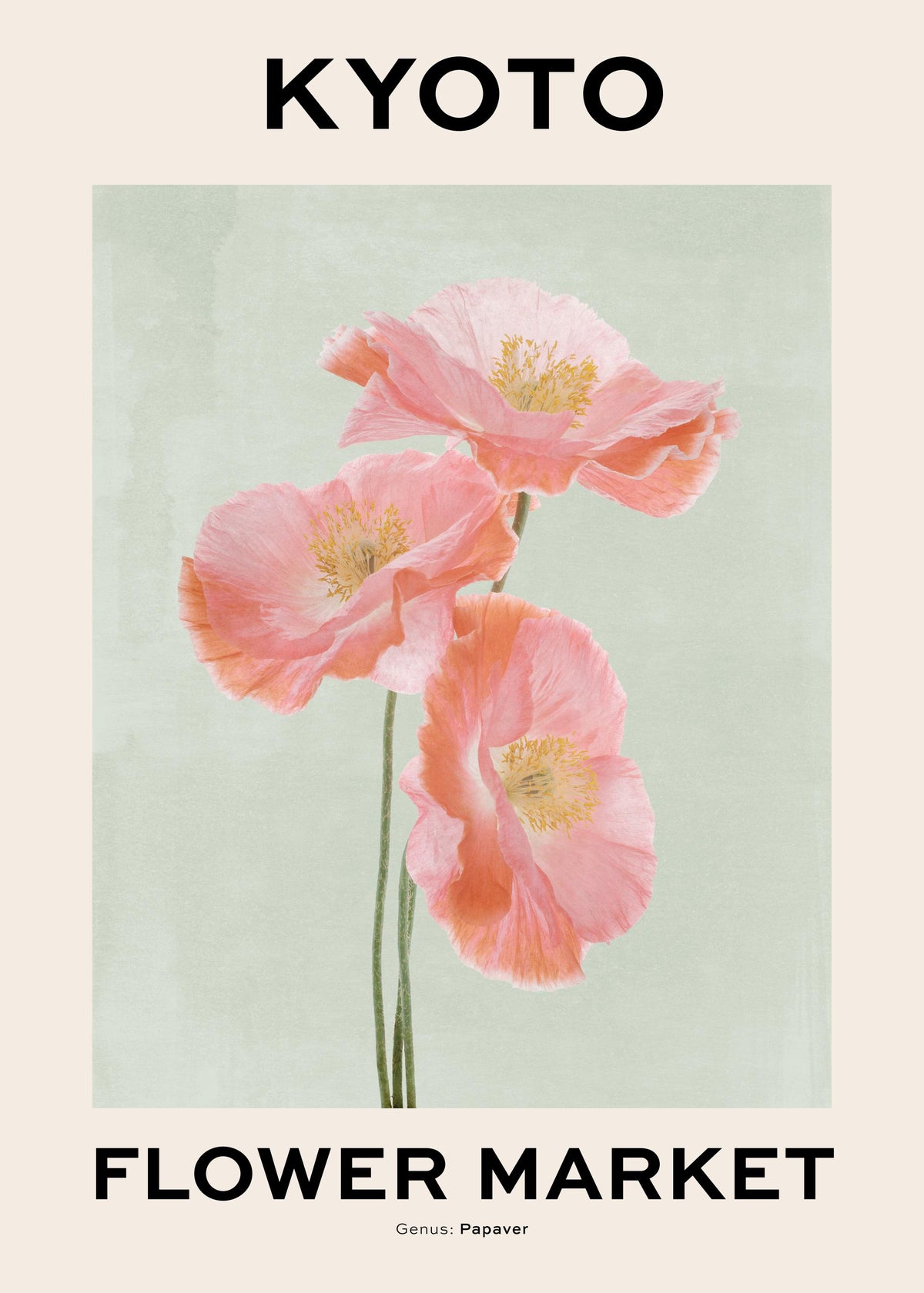 Kyoto Flower Market Print