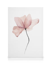Aquarelle Flower Canvas print