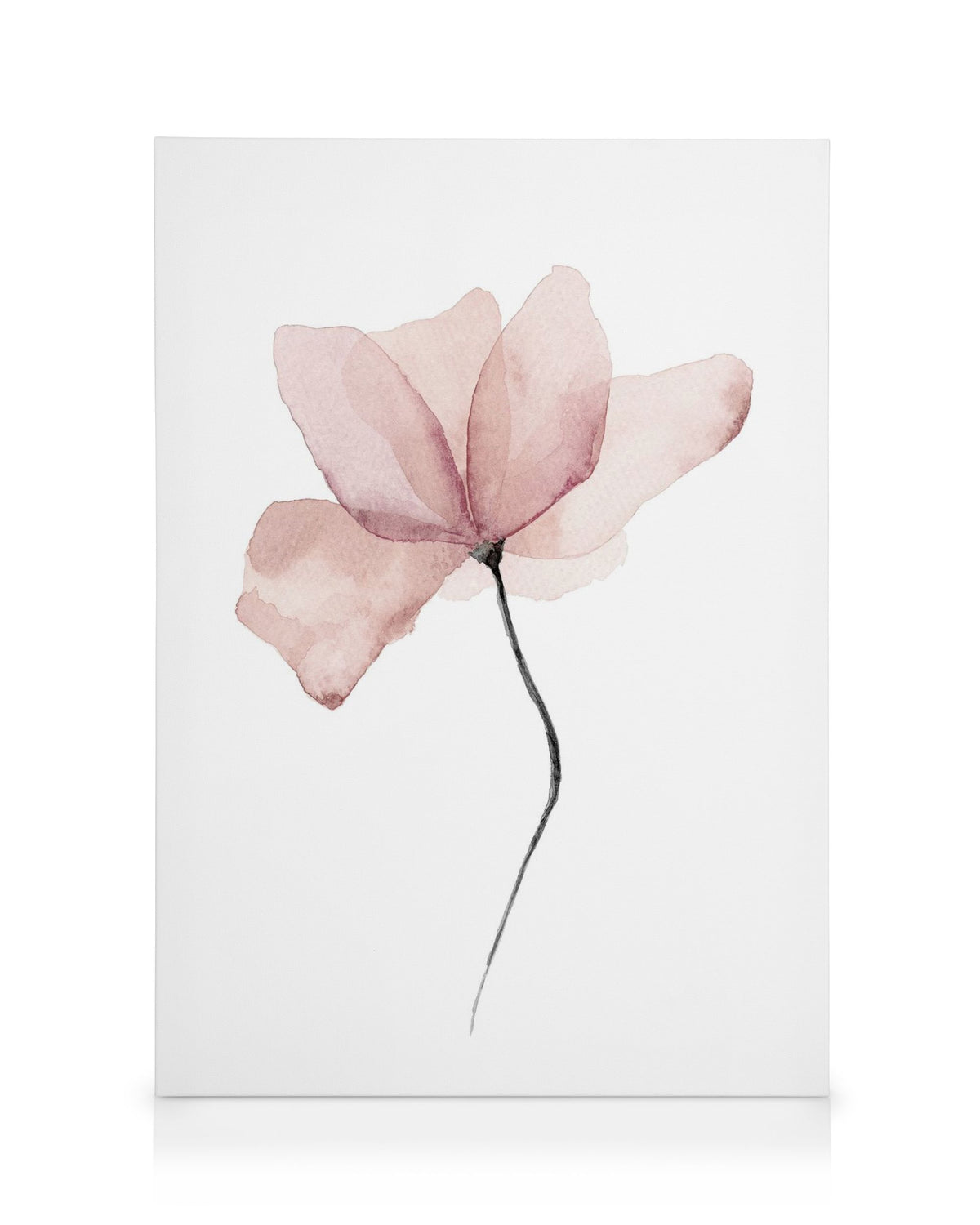 Aquarelle Flower Canvas print