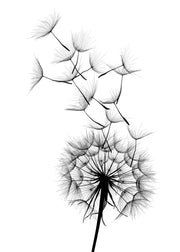 Dandelion No2 Print