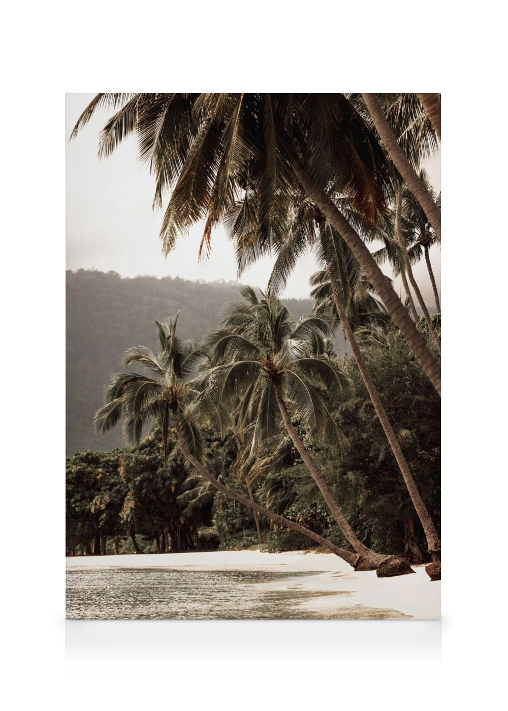 Tropical Embrace Canvas print