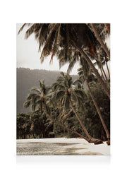 Tropical Embrace Canvas print