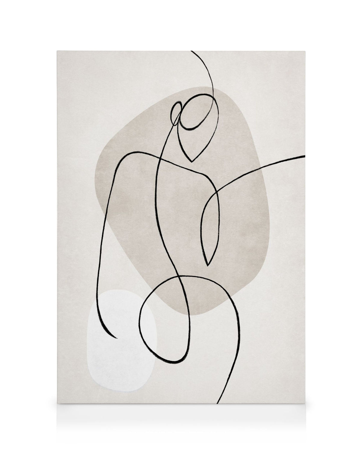 Artful Lines No2 Canvas print