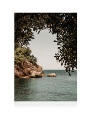 Organic Arch Canvas print