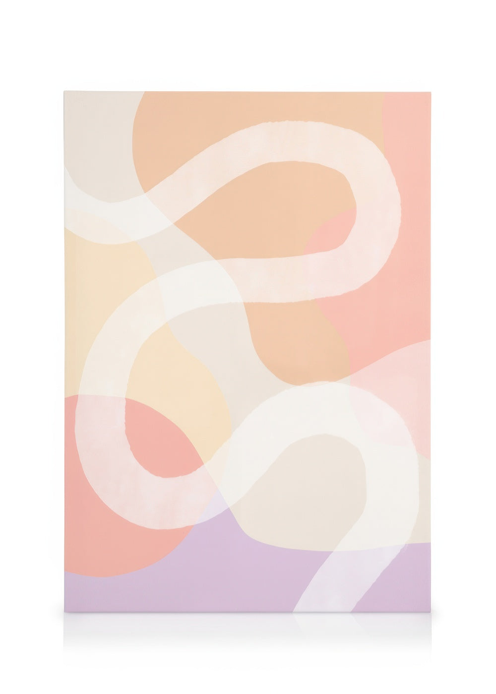 Shapes in Color No2 Canvas print