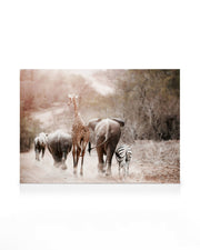 Friendship Canvas print