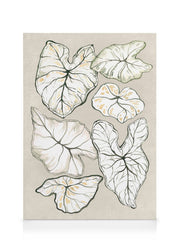 Caladium in Beige Canvas print