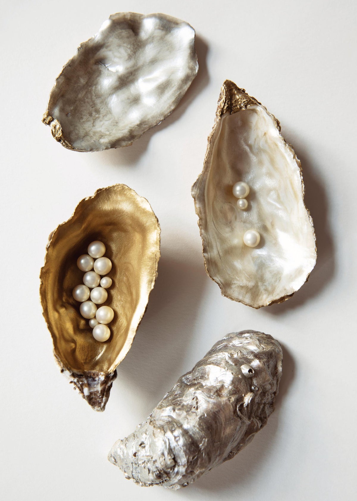 Oyster Shells No1 Print