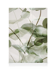 Eucalyptus Shades No1 Canvas print