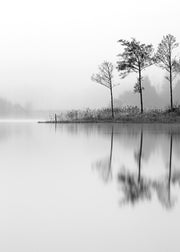 Lake, Print