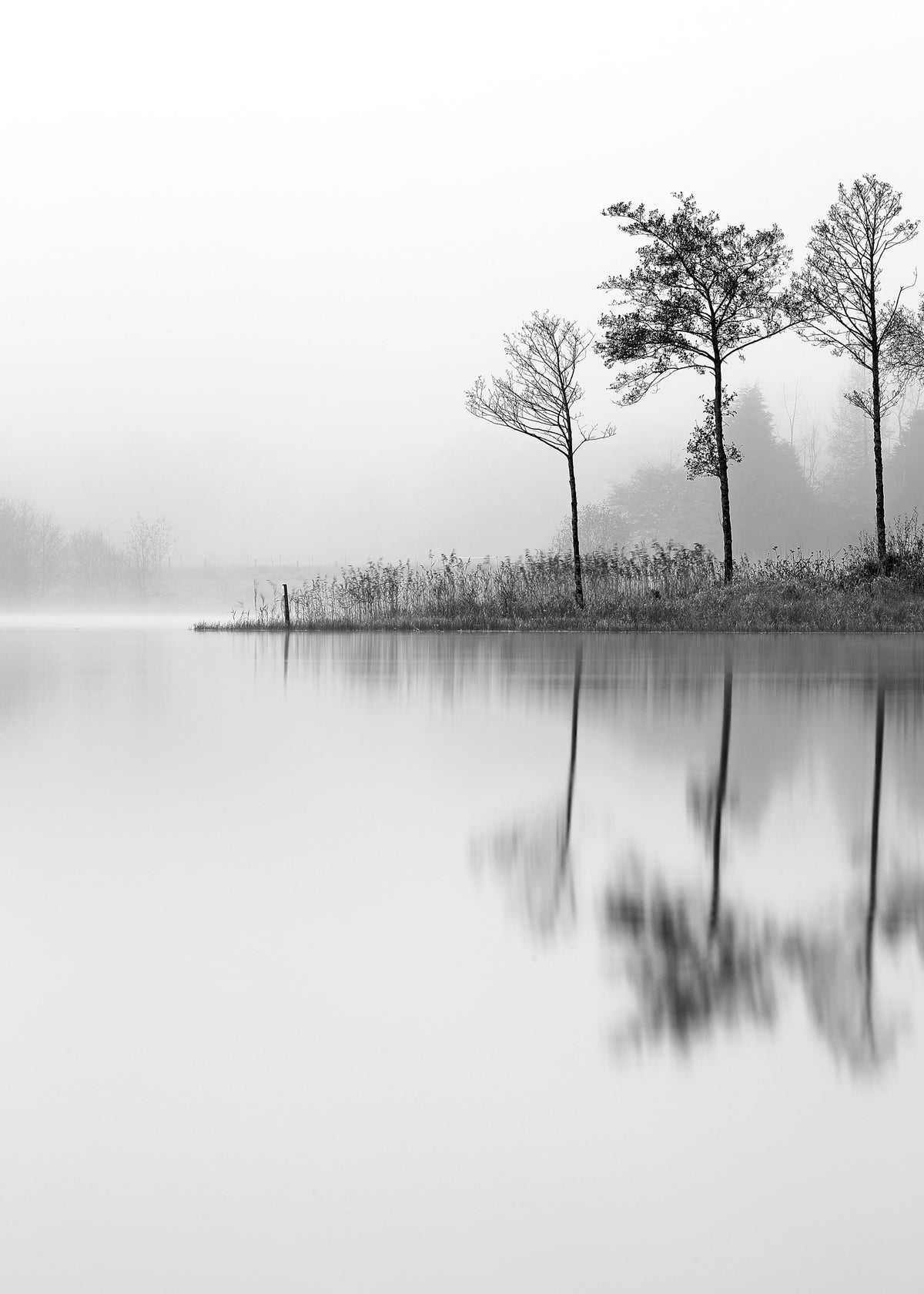 Lake, Print