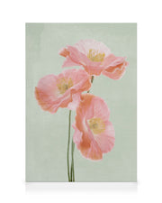 Kyoto Flower Market Canvas print