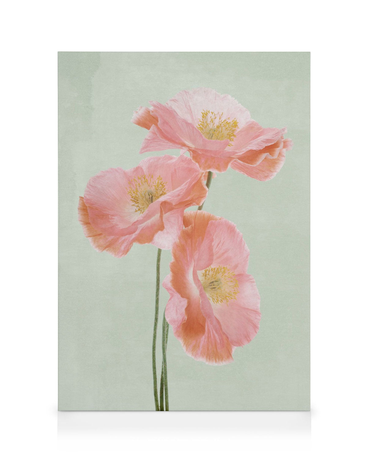 Kyoto Flower Market Canvas print