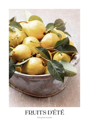 Fruits d'été No4 Print