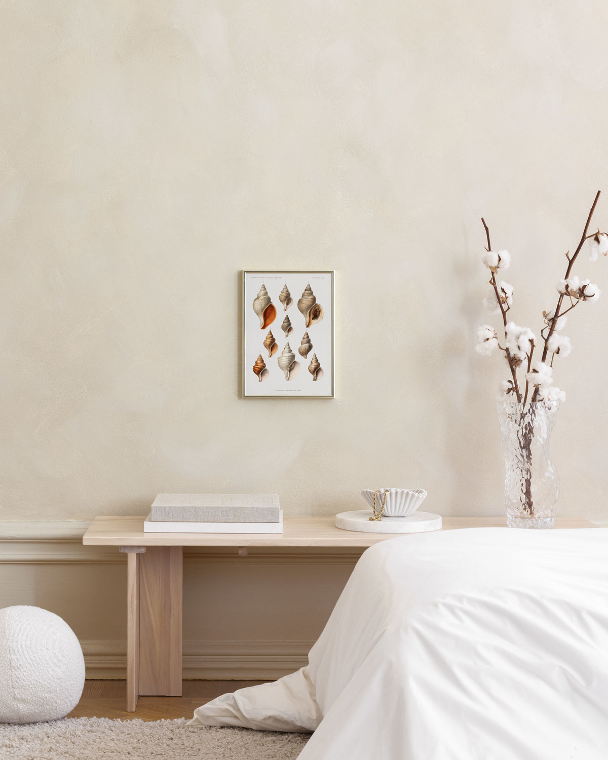 Vintage Seashells Print