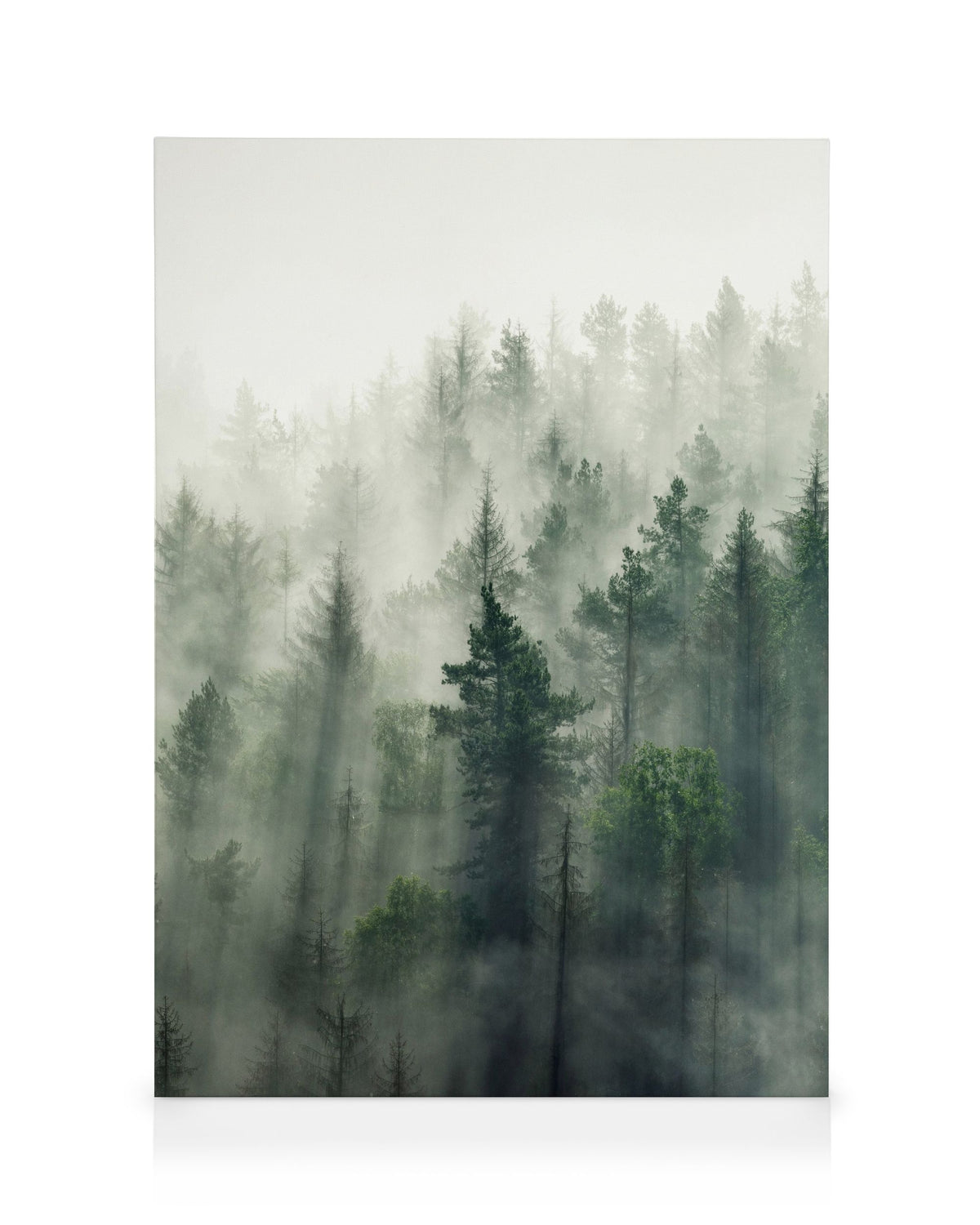 Forest Veil No2 Canvas print