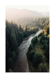 River in Forest Print