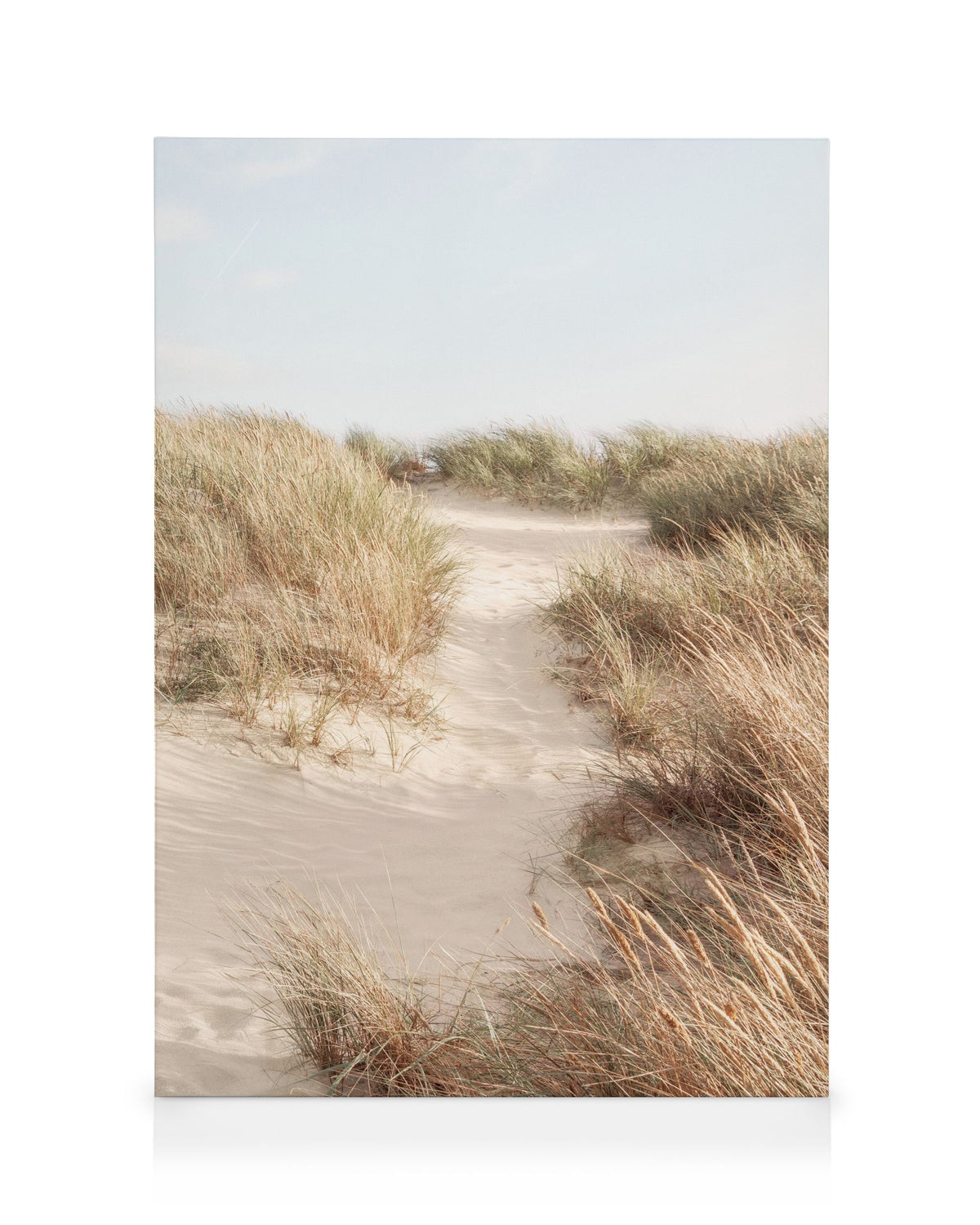 Shorelines No3 Canvas print