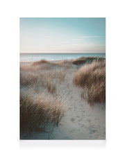 Sunset Beach Dune Canvas print
