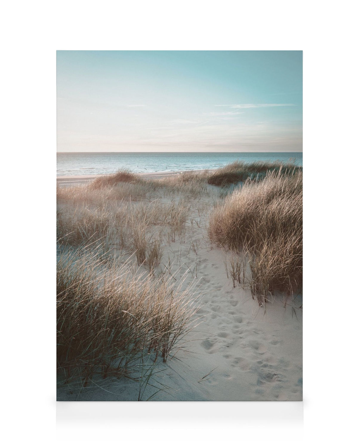 Sunset Beach Dune Canvas print