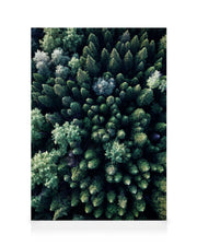 Forest Aerial Canvas print