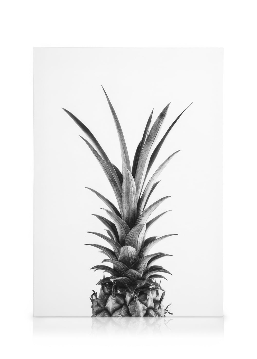 Pineapple B&W Canvas print