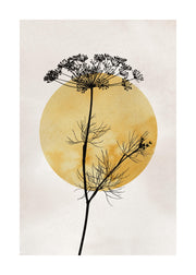 Anthriscus Silhouette Print