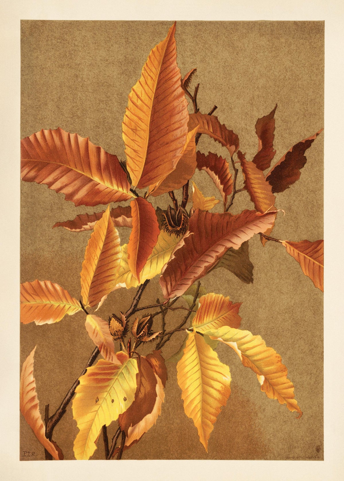 Autumn Branch Print