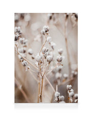 Autumn Nature Canvas print