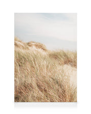 Shorelines No1 Canvas print