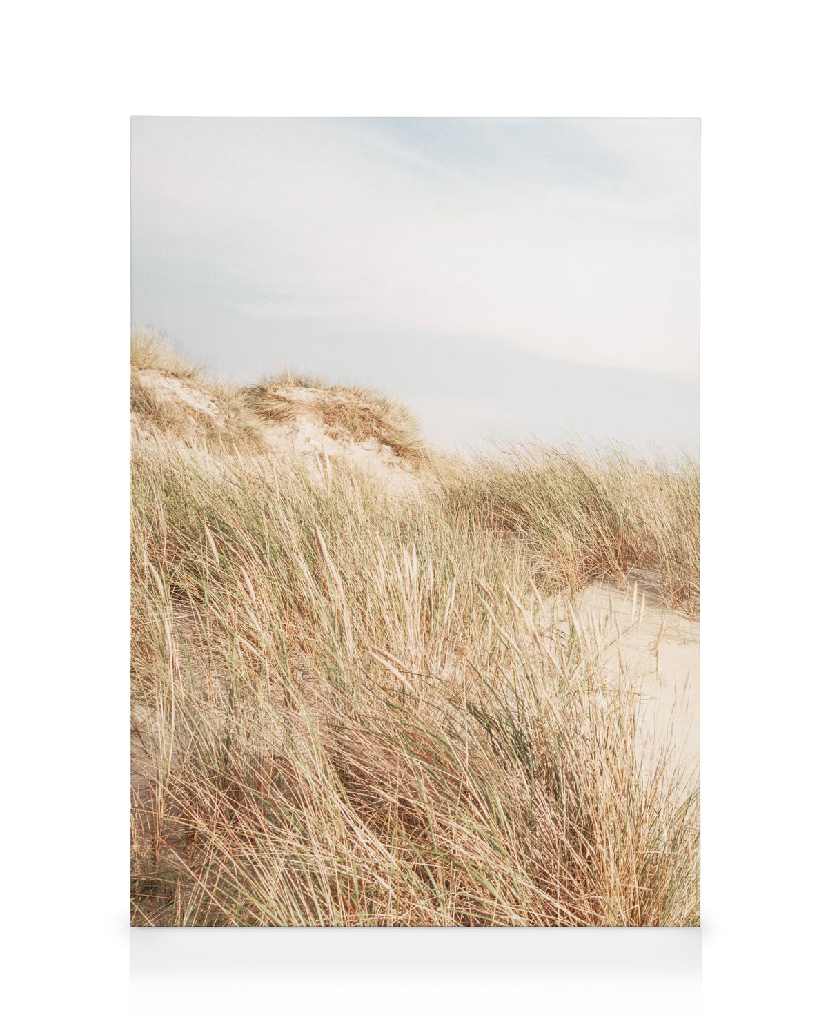 Shorelines No1 Canvas print
