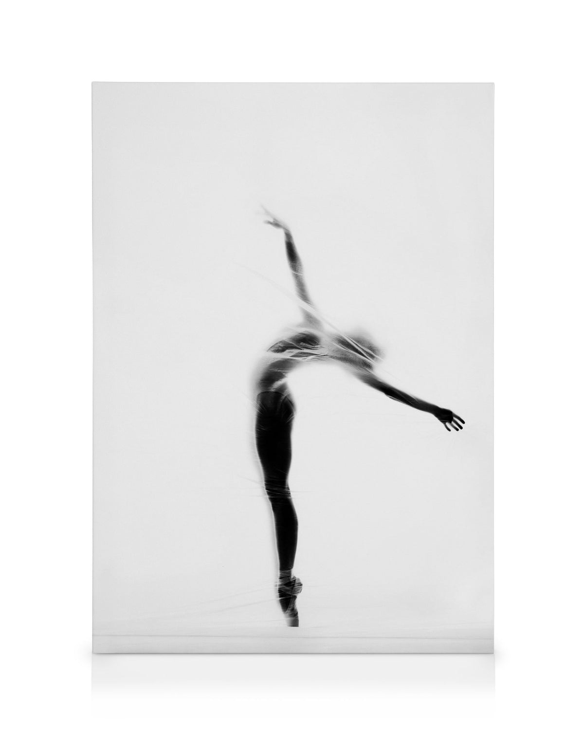 Secret Dancer Canvas print