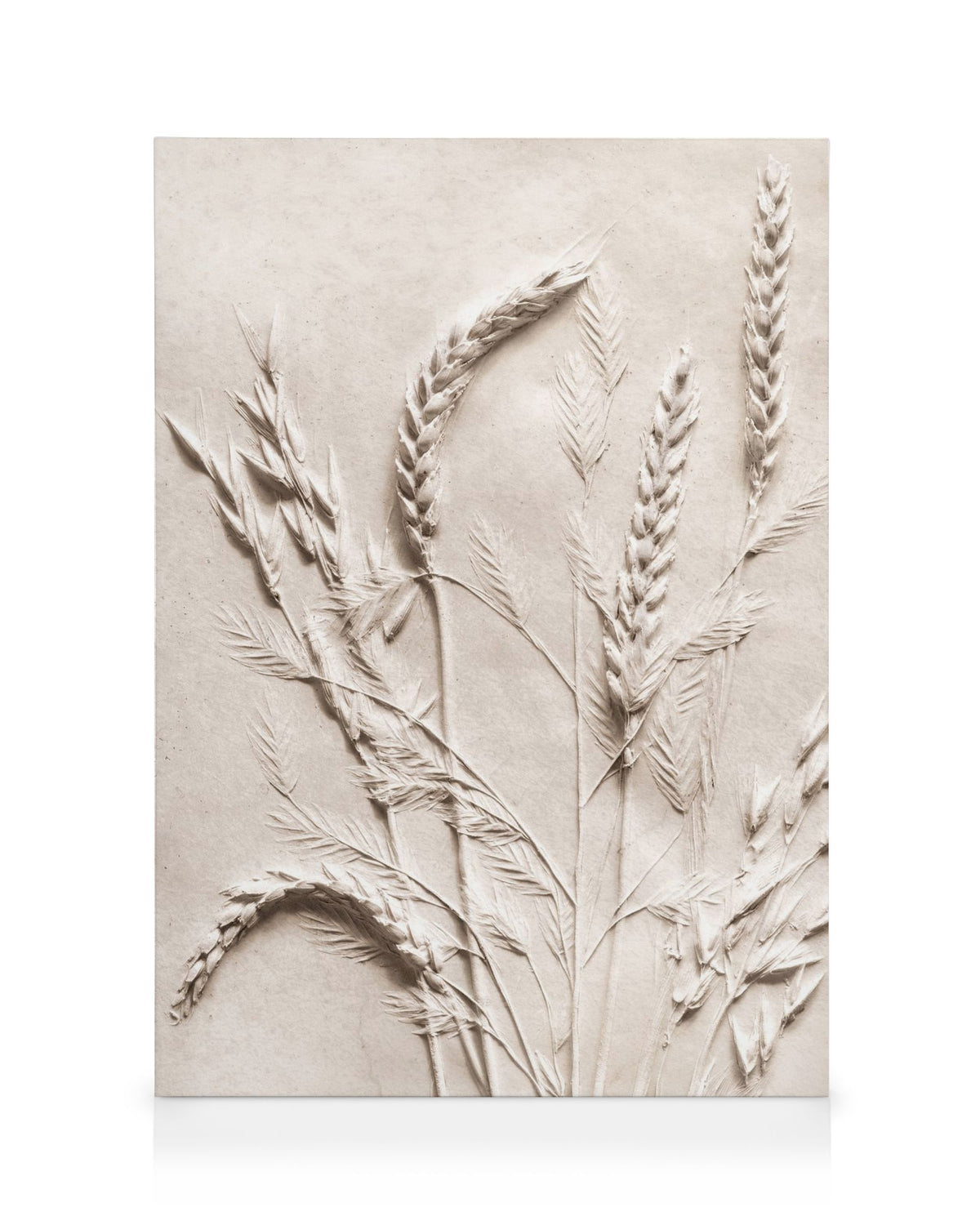 Relief Wheat Canvas print