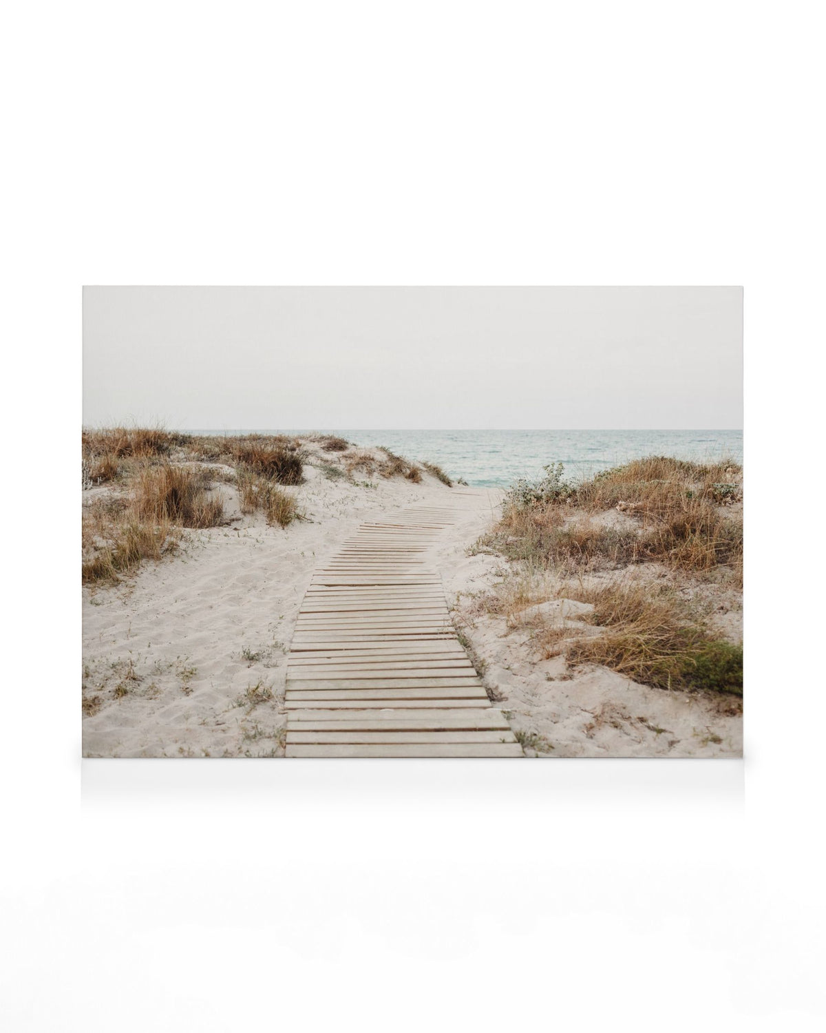 Beach Path Canvas print
