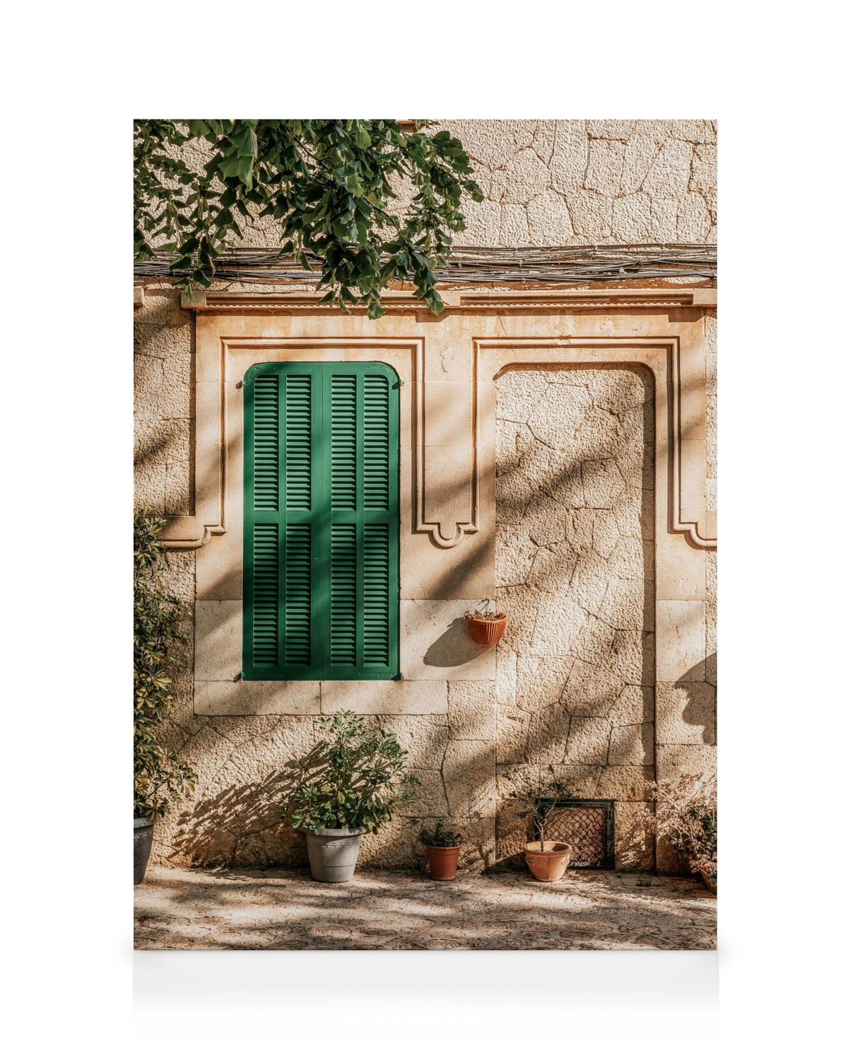 Green Window Canvas print