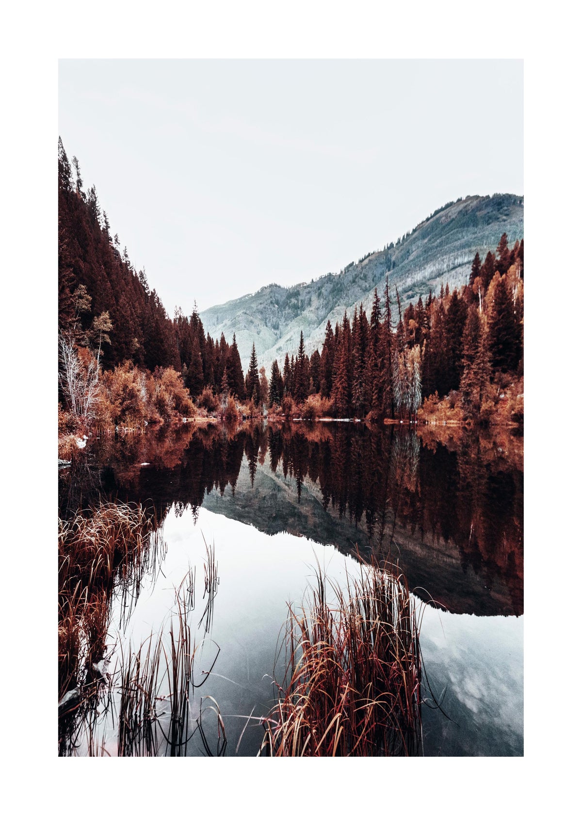 Autumn Lake Print