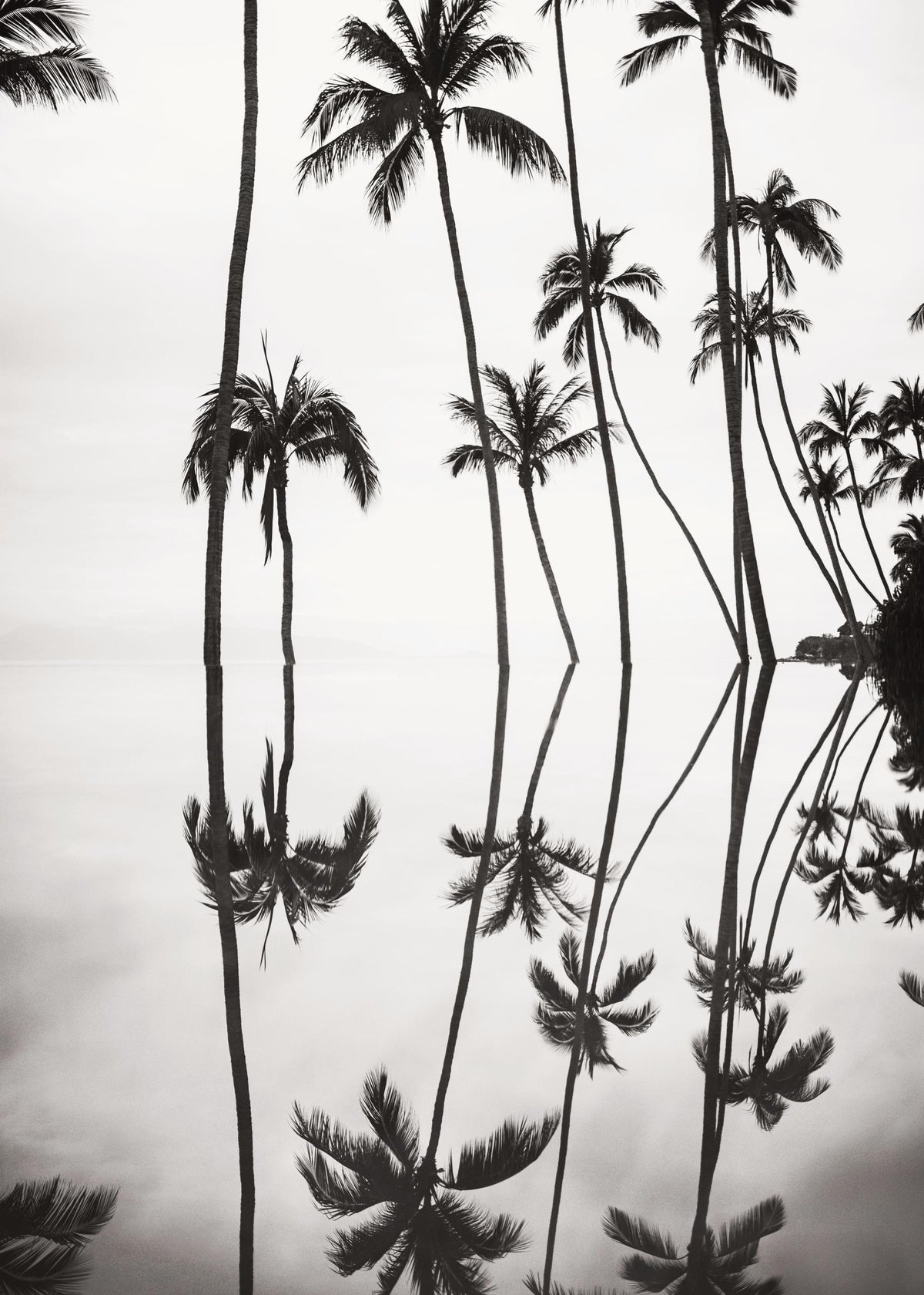 Tranquil Reflection Print